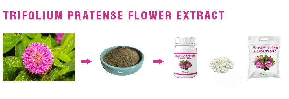 Red Clover Flower Extract.png